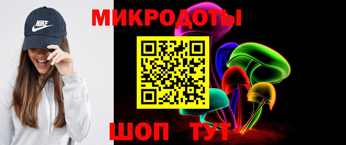 Псилоцибиновые грибы Psilocybine cubensis Донецк